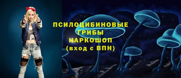 ПСИЛОЦИБИНОВЫЕ ГРИБЫ Балабаново