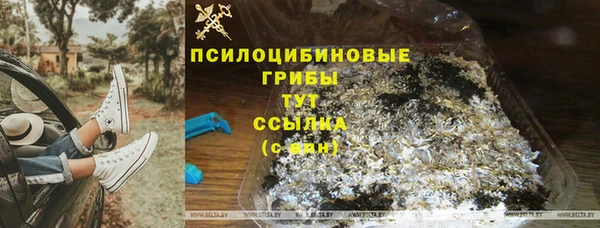 ПСИЛОЦИБИНОВЫЕ ГРИБЫ Балабаново