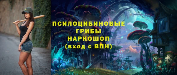 соль ск Балахна