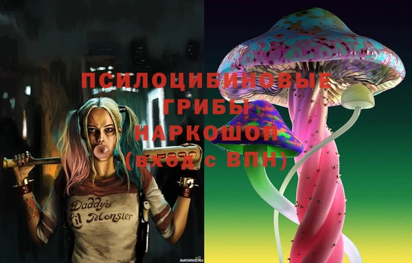 ПСИЛОЦИБИНОВЫЕ ГРИБЫ Балабаново